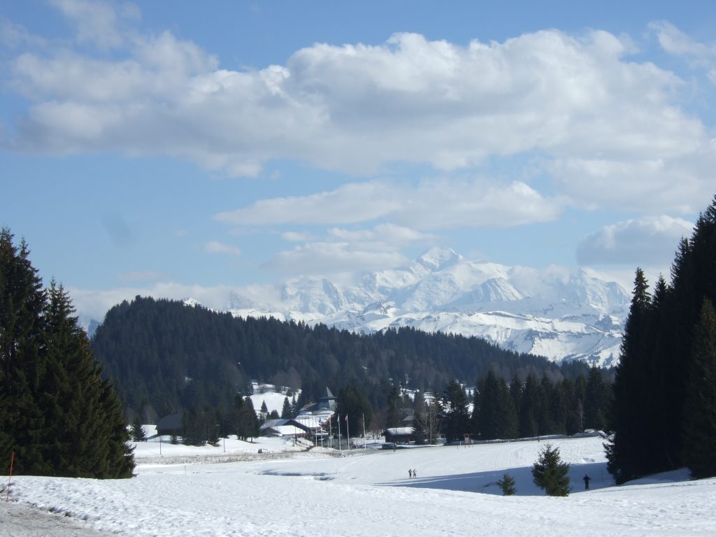 DSCF0271